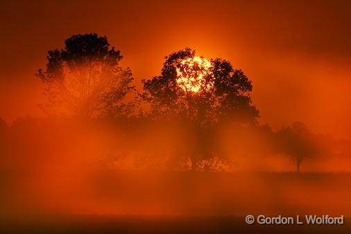 Misty Sunrise_49469.jpg - Photographed near Carleton Place, Ontario, Canada.